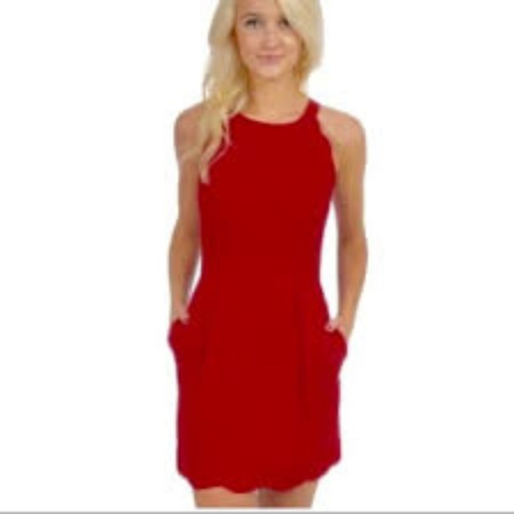 Worn Once Lauren James Seersucker Landry Dress